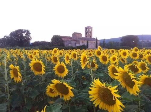 Bed & Breakfast Casale Il Colombaio Di Toiano