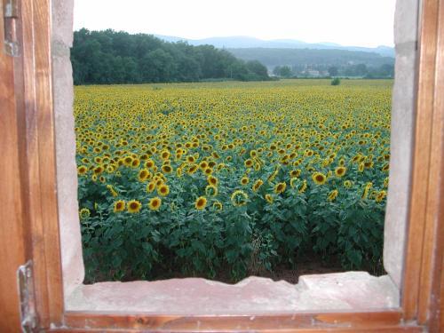 Bed & Breakfast Casale Il Colombaio Di Toiano