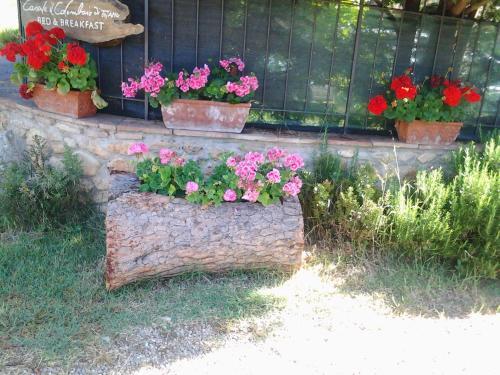 Bed & Breakfast Casale Il Colombaio Di Toiano