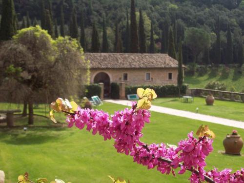 Bed & Breakfast Abbazia San Pietro In Valle