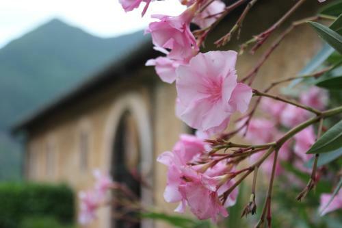 Bed & Breakfast Abbazia San Pietro In Valle