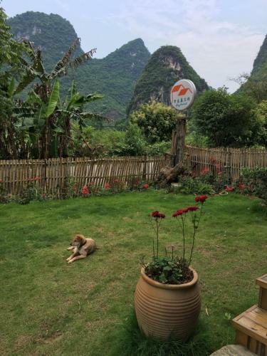 Posada Ivy Inn Yangshuo