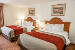 Hotel Comfort Inn