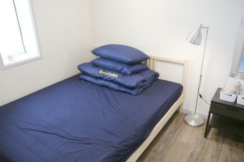 Albergue Seoul Dalbit Dongdaemun Guesthouse