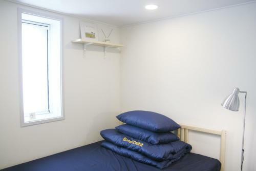 Albergue Seoul Dalbit Dongdaemun Guesthouse