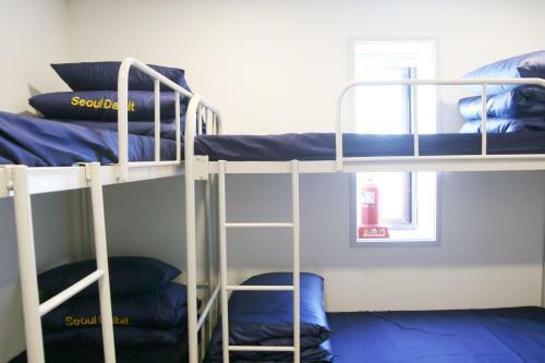 Albergue Seoul Dalbit Dongdaemun Guesthouse