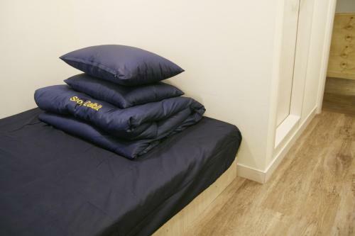 Albergue Seoul Dalbit Dongdaemun Guesthouse