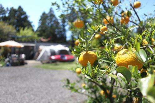 Hostal Basecamp Guesthouse