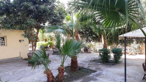 Hostal Senmut Luxor Hotel