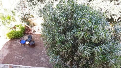 Hostal Senmut Luxor Hotel