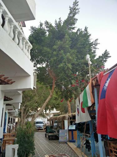Seven Heaven Hotel Dahab
