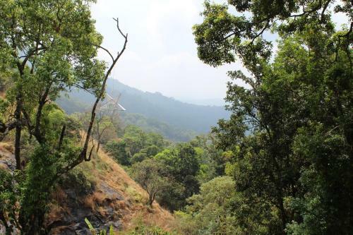 Hotel Eagle Mountain Munnar