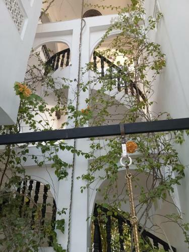 Bed & Breakfast Dia Homestay