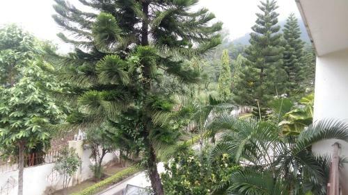 High View Cottage - Rishikesh