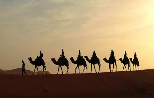 Rao Bika Ji Camel Safari