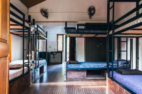 Caterpillar Hostel
