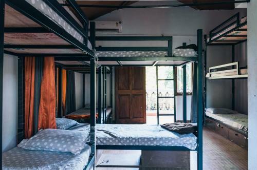 Caterpillar Hostel