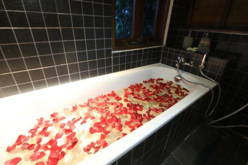 Hostal Green Bird Villa