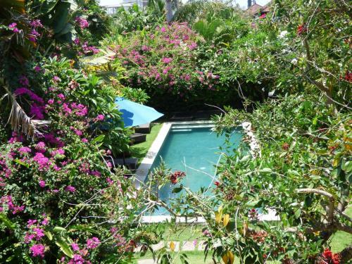 "villa Sarah" New Private