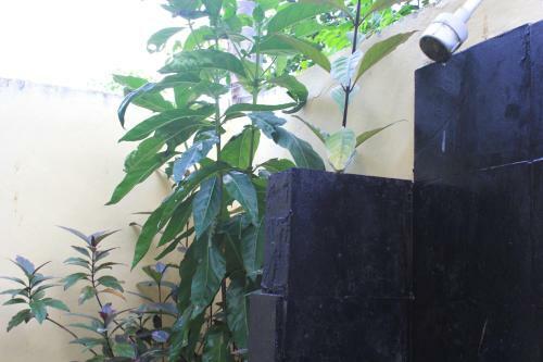 Lombok Indah Cottages