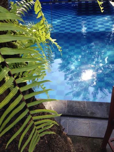 Hostal Brother Bungalow
