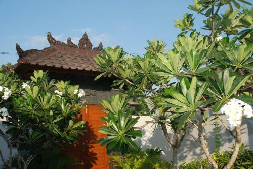Villa In Central Seminyak