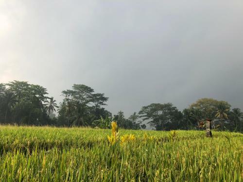 Villa Neyang