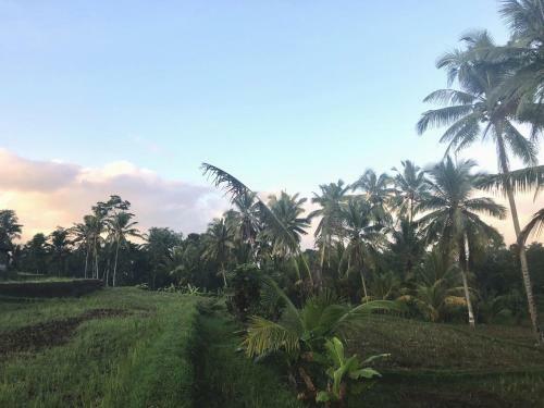 Villa Neyang