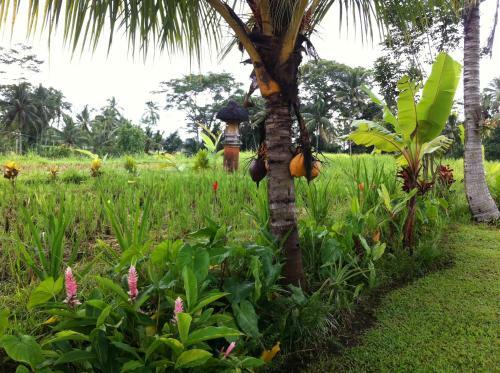 Villa Neyang