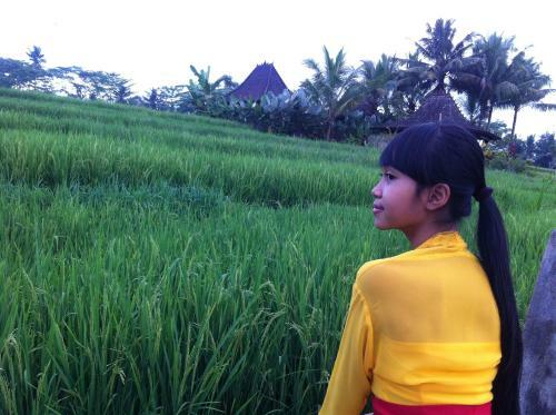 Villa Neyang