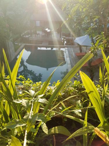 Hostal Lily Luxury Suites