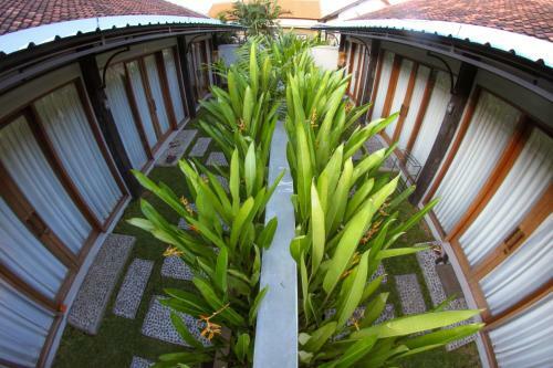 Hostal Canggu Beach Inn