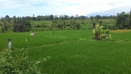 Natha Ubud Villa