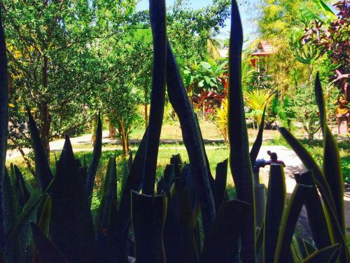 Bed & Breakfast Gili Spoy - Spoy Homestay