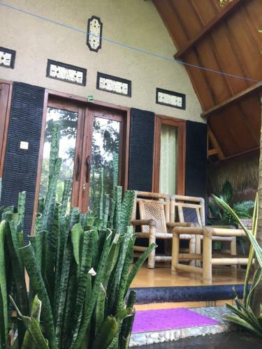 Bed & Breakfast Gili Spoy - Spoy Homestay