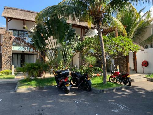 Hostal Toparadis Guest House