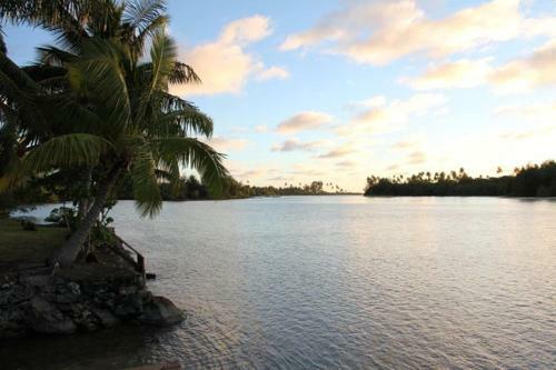 Villa Aroko Bungalows