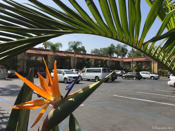 Hotel Comfort Inn Maingate - Anaheim