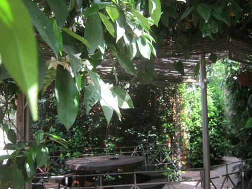 Hostal Arbelit Lodge