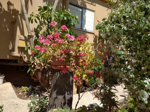 Hostal Arbelit Lodge