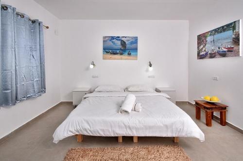 Villa Mansion Don Leone