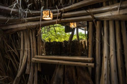 Albergue Shkedi's Camplodge