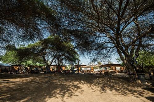 Albergue Shkedi's Camplodge