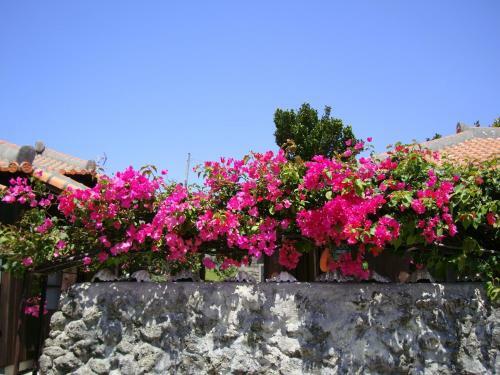 Agroturismo Resort Life Kabira