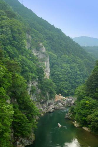 Tsuganoki