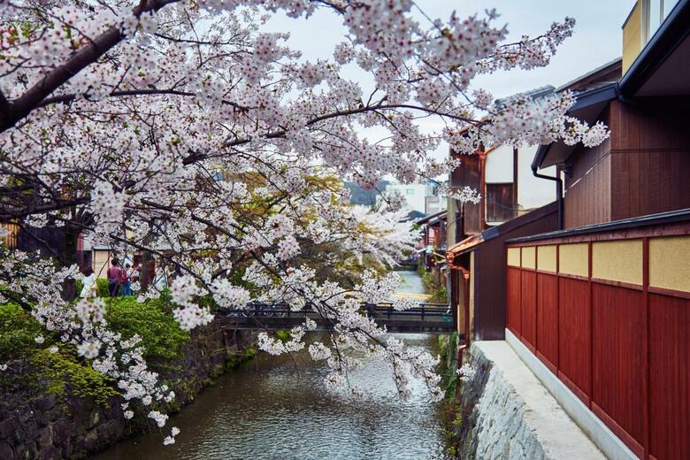 Hana-touro Hotel Gion