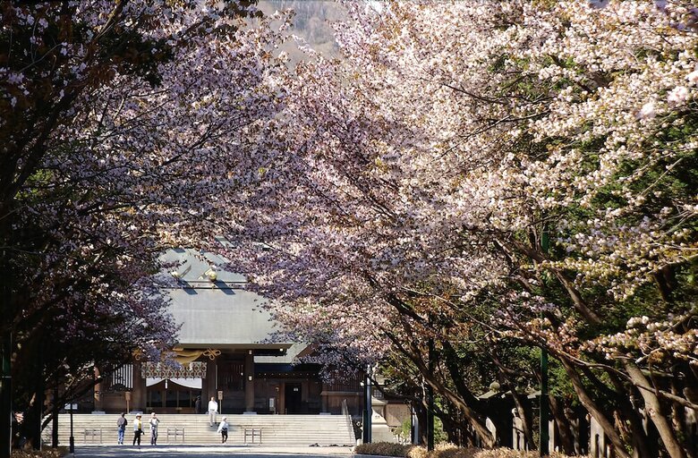 Hotel Jr Inn Sapporo-eki Minami-guchi