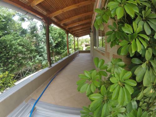Apartamentos Vila Pollo