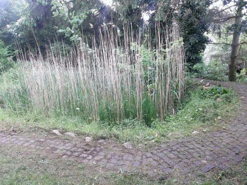 Apartamento Ferienwohnungen-willrich-ferienwohnung-3
