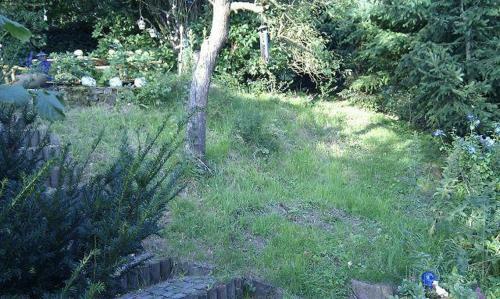 Apartamento Ferienwohnungen-willrich-ferienwohnung-3
